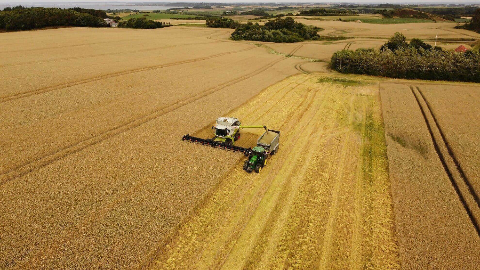 Diploma di Agraria, Agroalimentare e Agroindustria